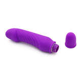 ToyJoy SeXentials Delight Mini Vibe